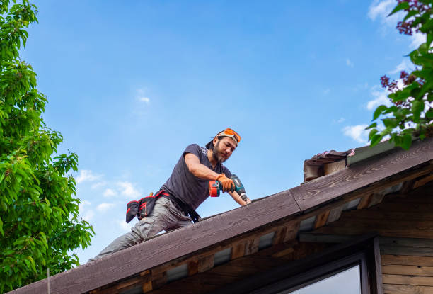 Best Roof Ventilation Installation  in Evergreen Park, IL