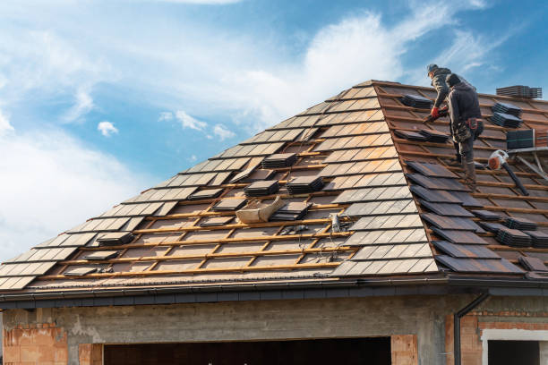 Best Roof Insulation Installation  in Evergreen Park, IL