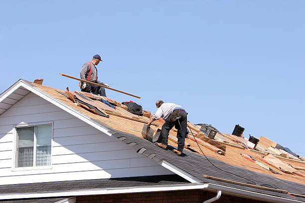 Best Storm Damage Roof Repair  in Evergreen Park, IL